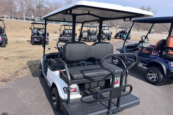 Icon G40 Golf Cart - Image 4
