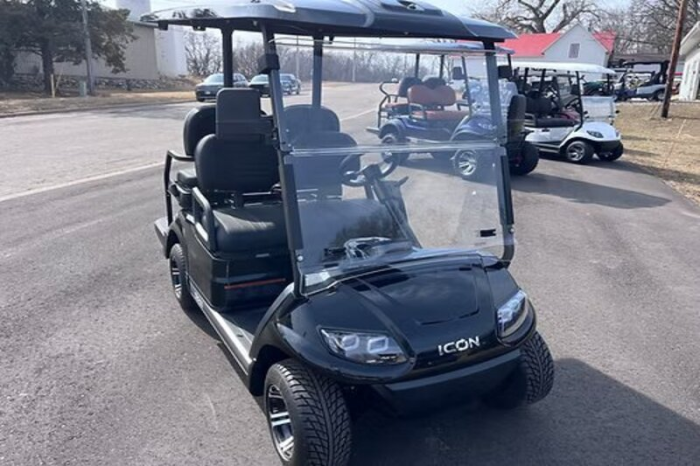 Icon G40L Golf Cart - Image 6