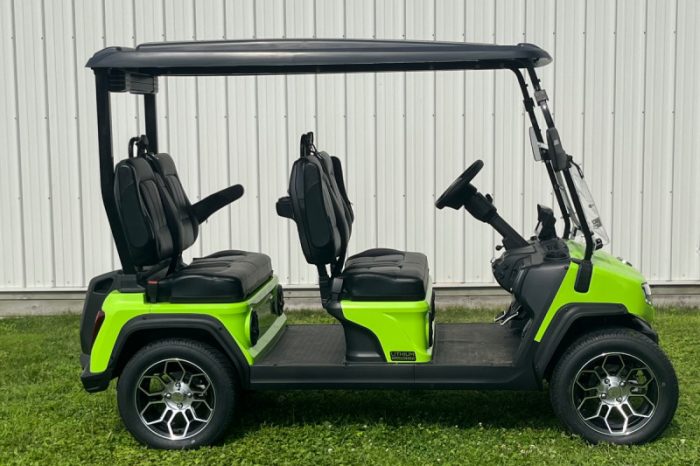 Evolution D5 Ranger 4 Golf Cart - Image 2