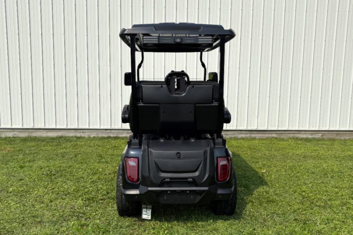 Evolution D5 Ranger 4 Plus Golf Cart - Image 3