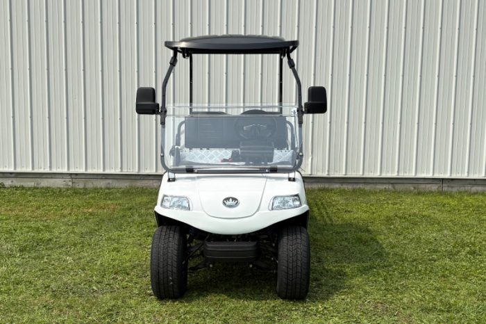 Evolution Turfman 1000 - Image 2