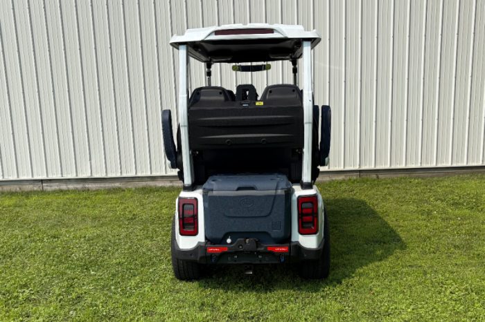 Evolution D-MAX GT4 Golf Cart - Image 8