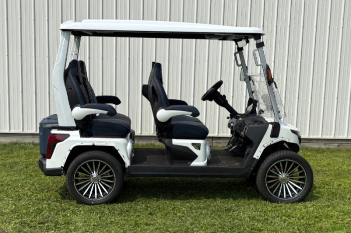 Evolution D-MAX GT4 Golf Cart - Image 6