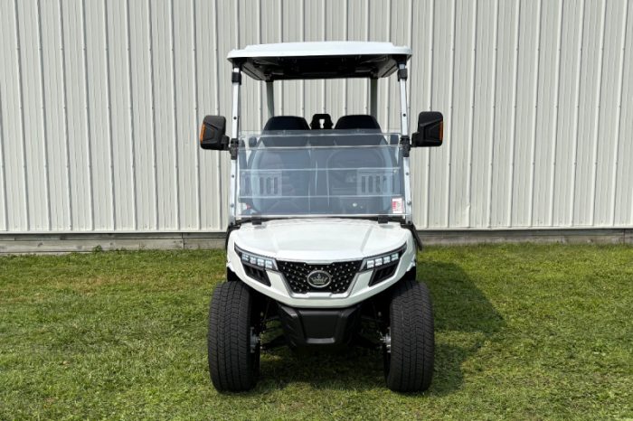 Evolution D-MAX GT4 Golf Cart - Image 4