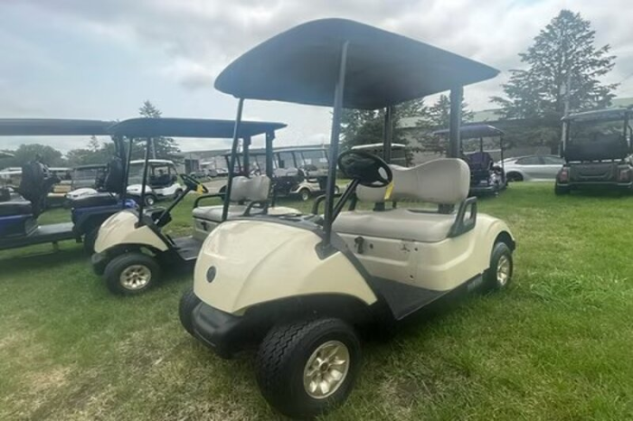 2020 Yamaha EFI Golf Car The Drive2 GAS EFI