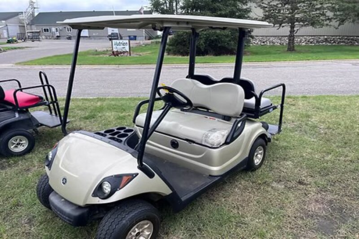 2009 Yamaha YDRE 48 Volt - Image 2