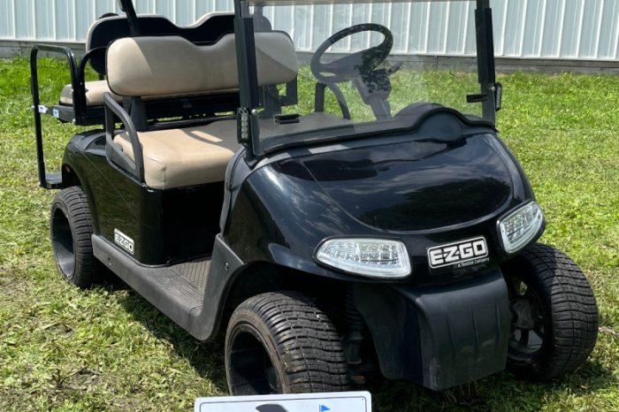 2012 EZGO RXV - Image 2