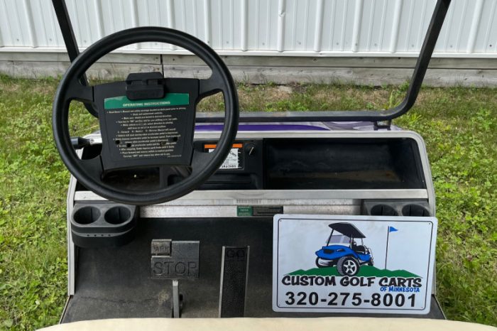 2001 Club Car DS - Image 5